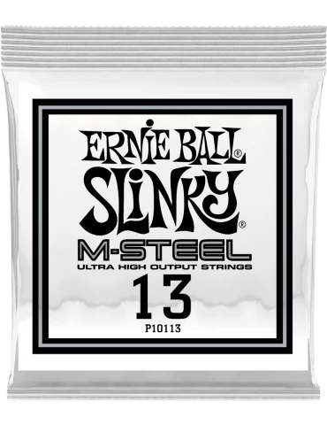 ERNIE BALL 10113 | MusicGoodDeal