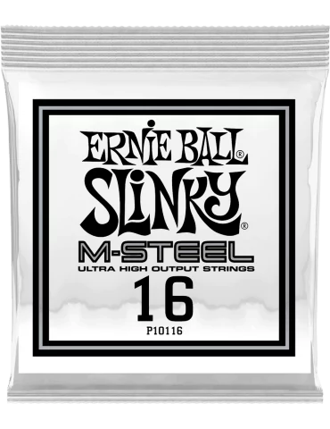 ERNIE BALL 10116 | MusicGoodDeal