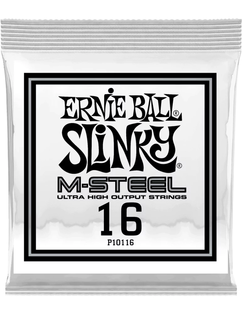 ERNIE BALL 10116 | MusicGoodDeal