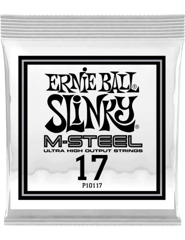 ERNIE BALL 10117 | MusicGoodDeal