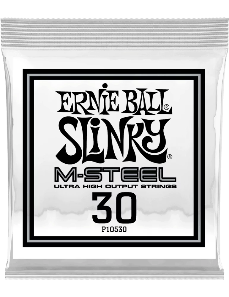 ERNIE BALL 10530 | MusicGoodDeal