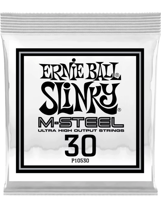 ERNIE BALL 10530 | MusicGoodDeal