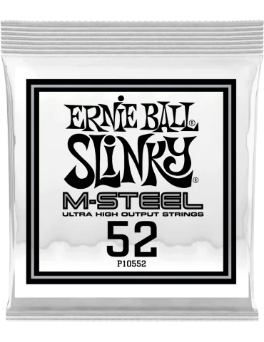 ERNIE BALL 10552 | MusicGoodDeal