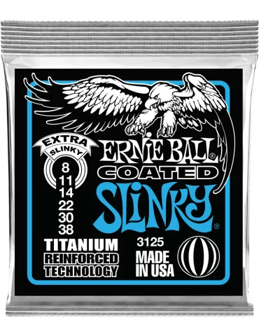 ERNIE BALL 3125 | MusicGoodDeal