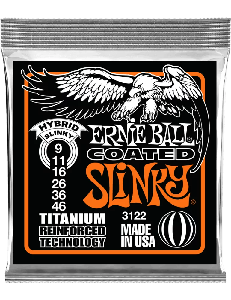 ERNIE BALL 3122 | MusicGoodDeal