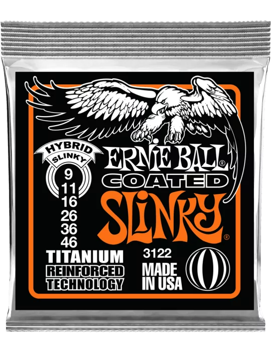 ERNIE BALL 3122 | MusicGoodDeal