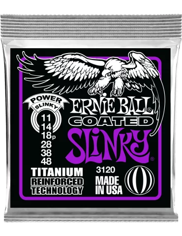 ERNIE BALL 3120 | MusicGoodDeal