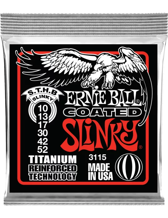 ERNIE BALL 3115 | MusicGoodDeal