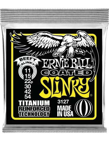 ERNIE BALL 3127 | MusicGoodDeal