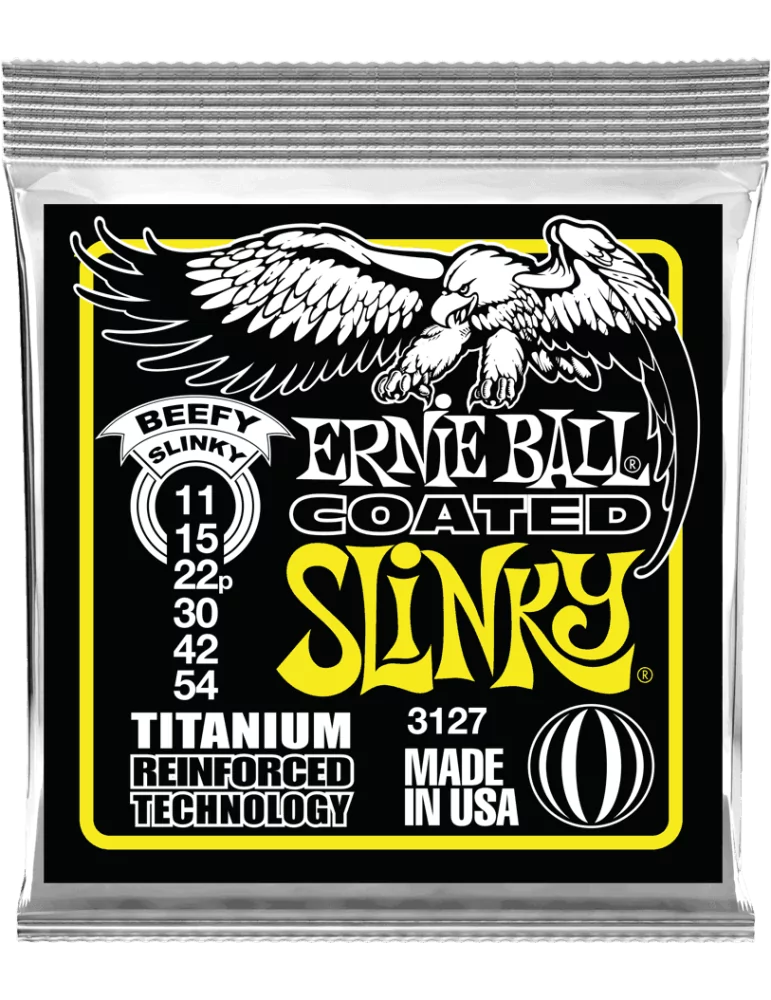 ERNIE BALL 3127 | MusicGoodDeal
