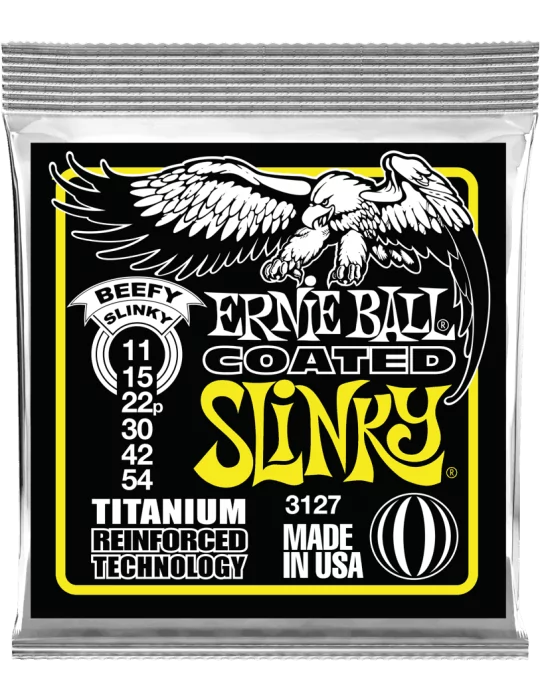 ERNIE BALL 3127 | MusicGoodDeal