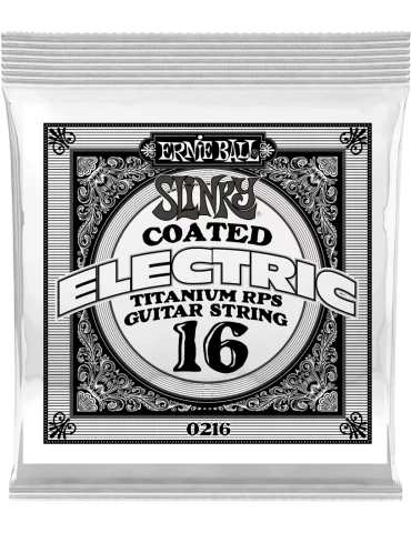 ERNIE BALL 0216 | MusicGoodDeal