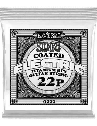 ERNIE BALL 0222 | MusicGoodDeal