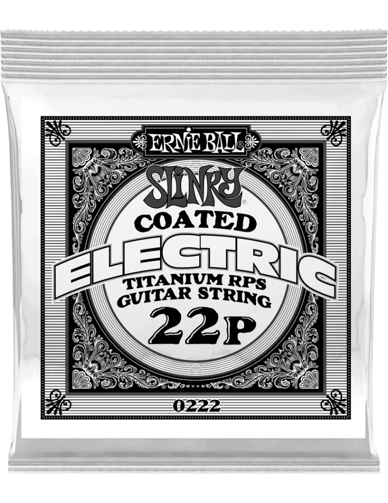 ERNIE BALL 0222 | MusicGoodDeal