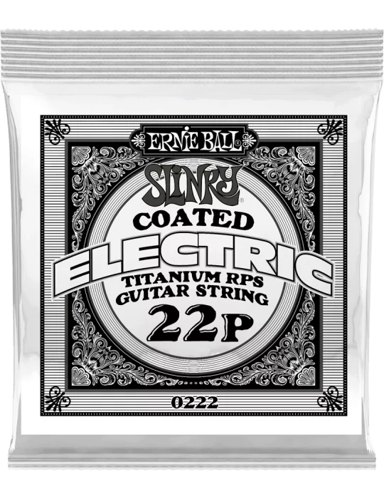 ERNIE BALL 0222 | MusicGoodDeal