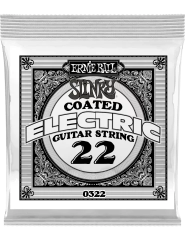 ERNIE BALL 0322 | MusicGoodDeal