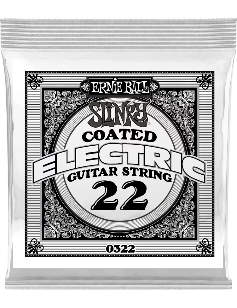 ERNIE BALL 0322 | MusicGoodDeal