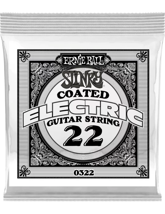 ERNIE BALL 0322 | MusicGoodDeal
