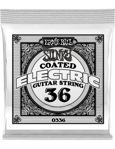 ERNIE BALL 0336 | MusicGoodDeal