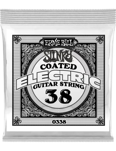 ERNIE BALL 0338 | MusicGoodDeal