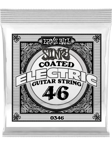 ERNIE BALL 0346 | MusicGoodDeal