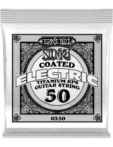 ERNIE BALL 0350 | MusicGoodDeal