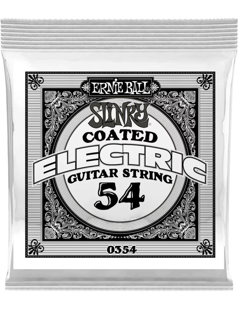 ERNIE BALL 0354 | MusicGoodDeal