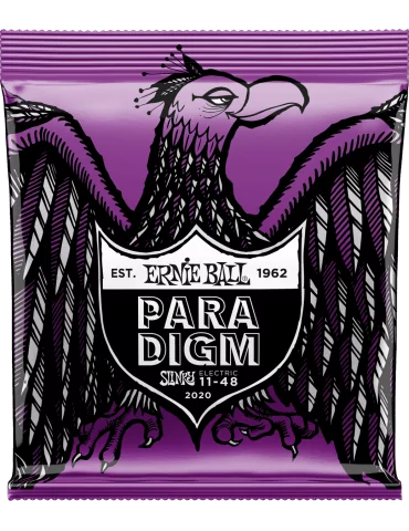 ERNIE BALL 2020 | MusicGoodDeal