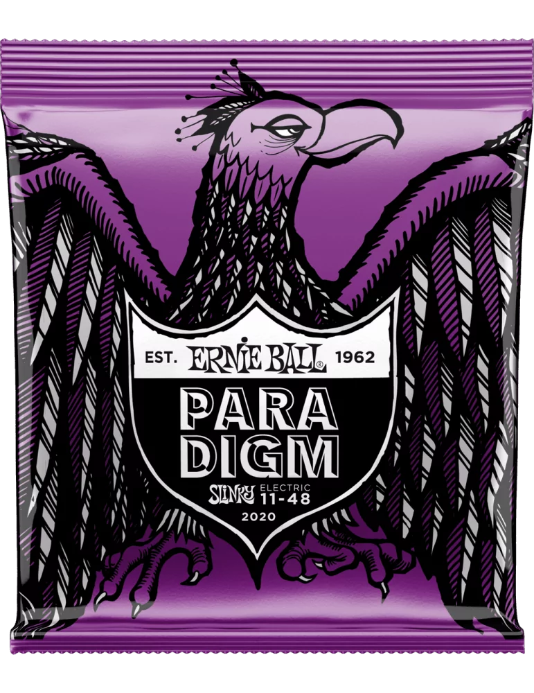 ERNIE BALL 2020 | MusicGoodDeal