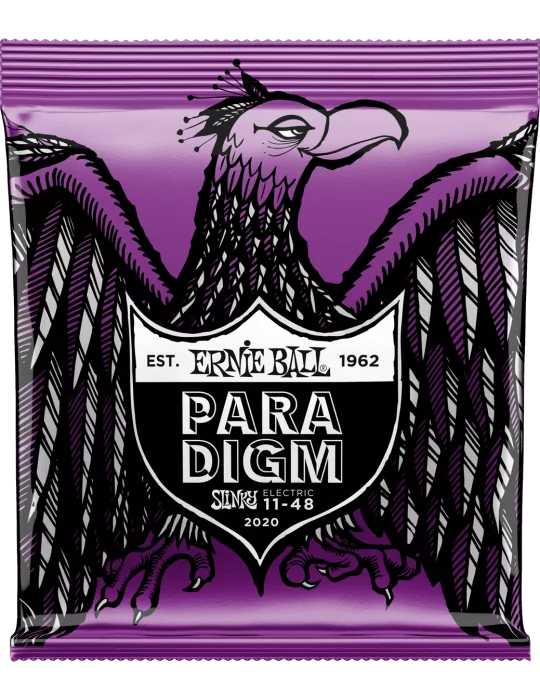 ERNIE BALL 2020 | MusicGoodDeal