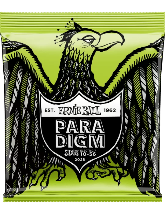 ERNIE BALL 2028 | MusicGoodDeal
