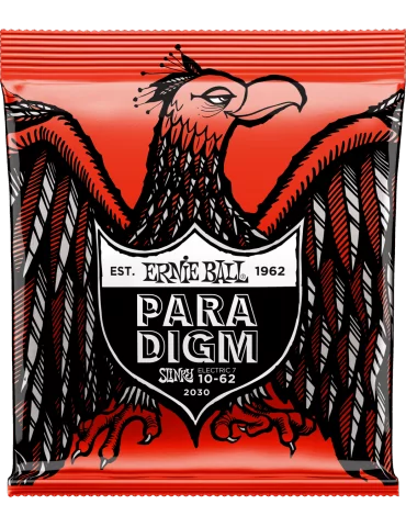ERNIE BALL 2030 | MusicGoodDeal