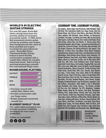 ERNIE BALL 2590 | MusicGoodDeal 2