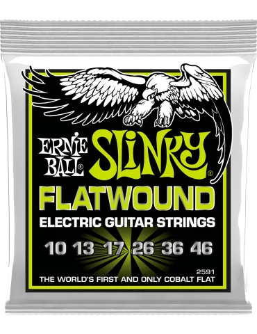 ERNIE BALL 2591 | MusicGoodDeal