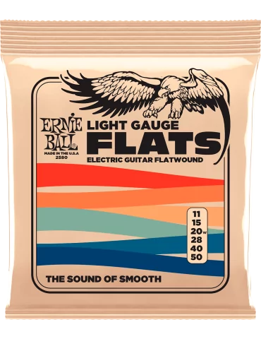 ERNIE BALL 2580 | MusicGoodDeal