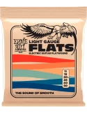 ERNIE BALL 2580 | MusicGoodDeal