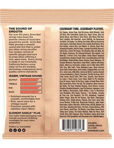 ERNIE BALL 2580 | MusicGoodDeal 2