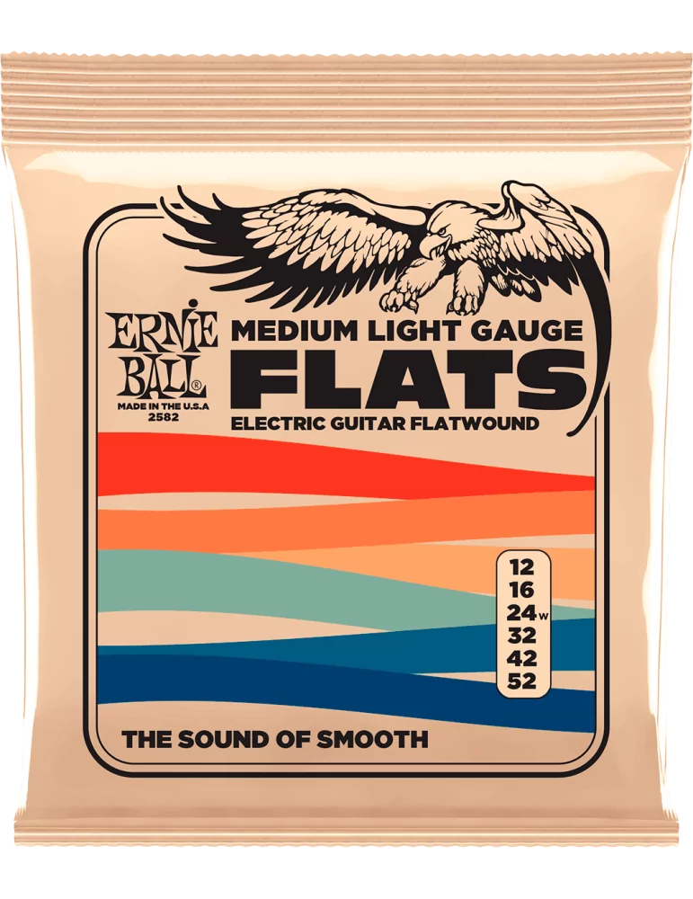ERNIE BALL 2582 | MusicGoodDeal