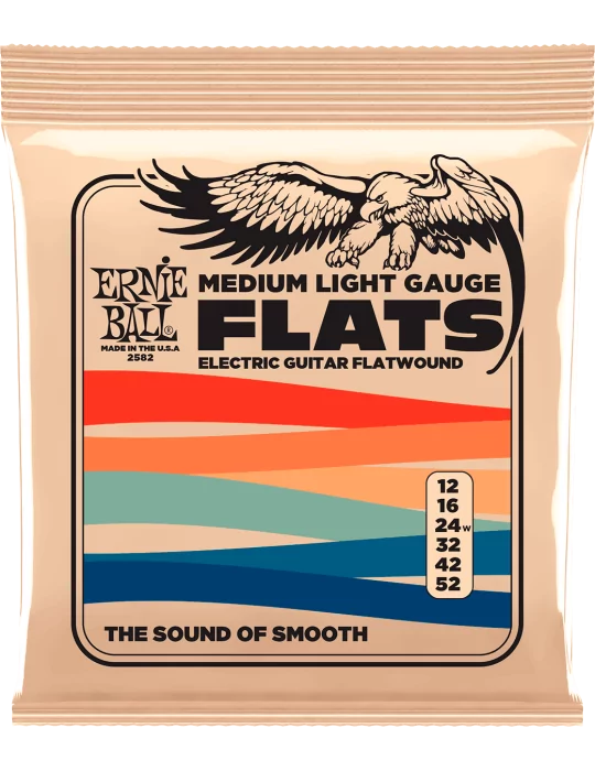 ERNIE BALL 2582 | MusicGoodDeal
