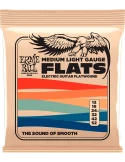 ERNIE BALL 2582 | MusicGoodDeal