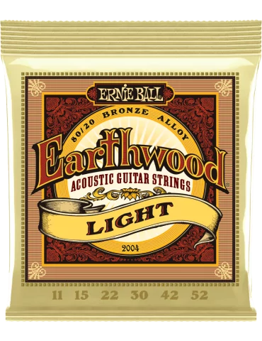ERNIE BALL 2004 | MusicGoodDeal