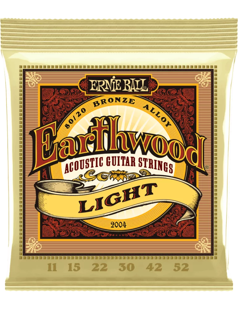 ERNIE BALL 2004 | MusicGoodDeal