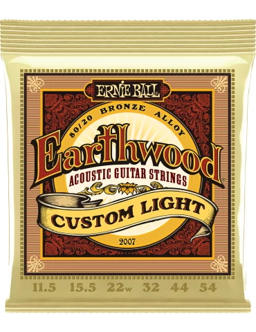 ERNIE BALL 2007 | MusicGoodDeal
