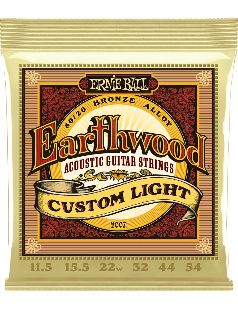 ERNIE BALL 2007 | MusicGoodDeal