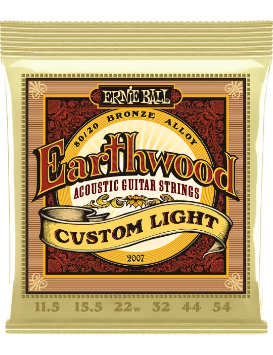 ERNIE BALL 2007 | MusicGoodDeal