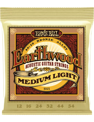 ERNIE BALL 2003 | MusicGoodDeal