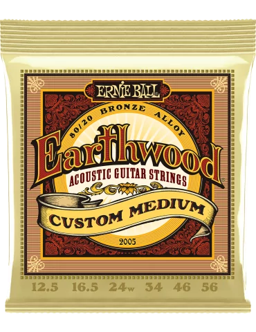 ERNIE BALL 2005 | MusicGoodDeal