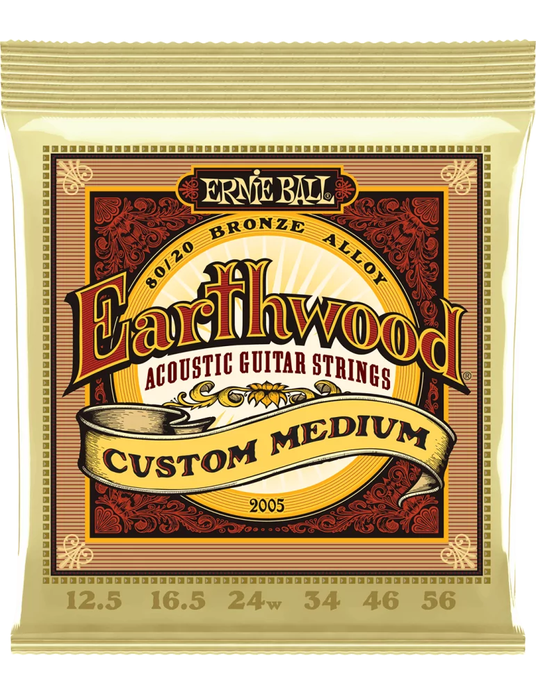 ERNIE BALL 2005 | MusicGoodDeal