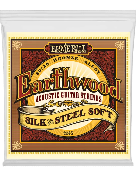 ERNIE BALL 2045 | MusicGoodDeal