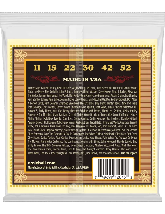 ERNIE BALL 2045 | MusicGoodDeal
